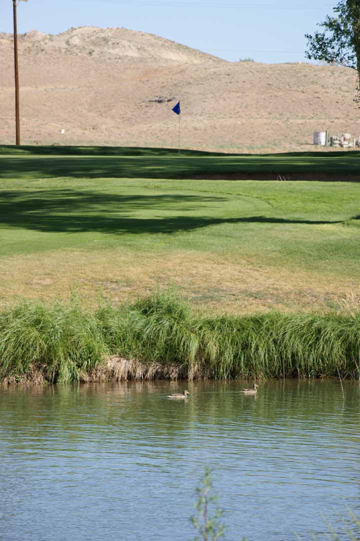 Gallery Riverview Golf Course